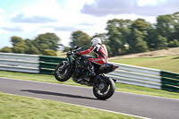 Middle Group Multicolour Bikes